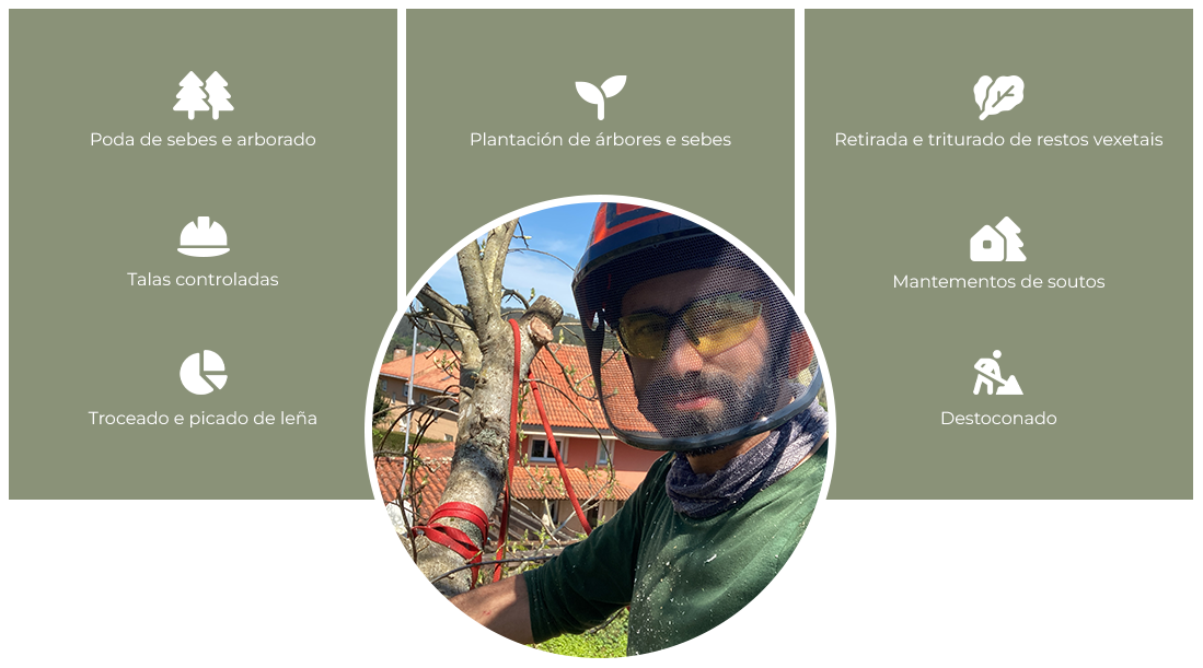OS NOSOS SERVIZOS DE TALAS E PODA EN ALTURA