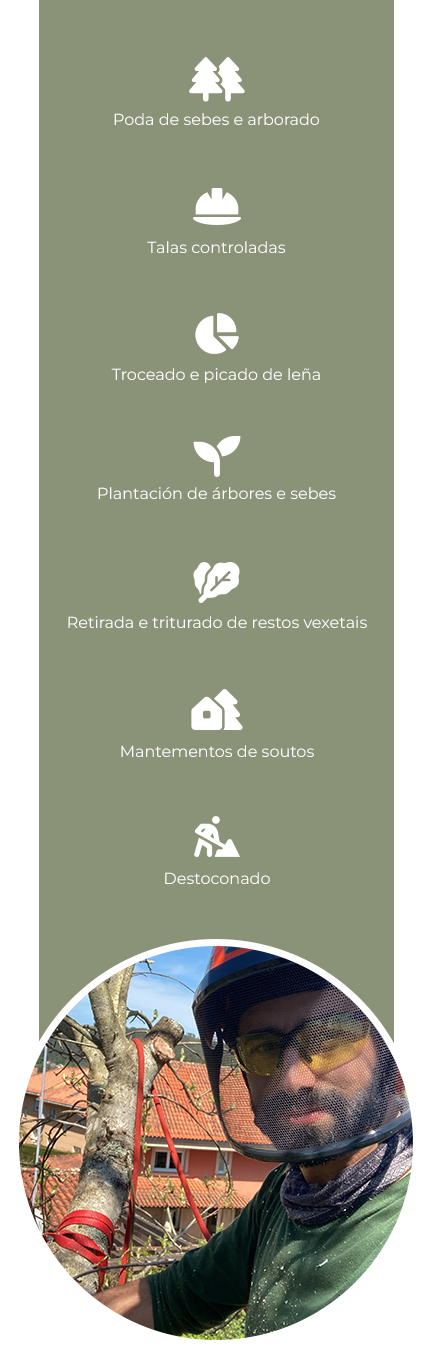 OS NOSOS SERVIZOS DE TALAS E PODA EN ALTURA