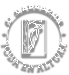 O´Gabeador